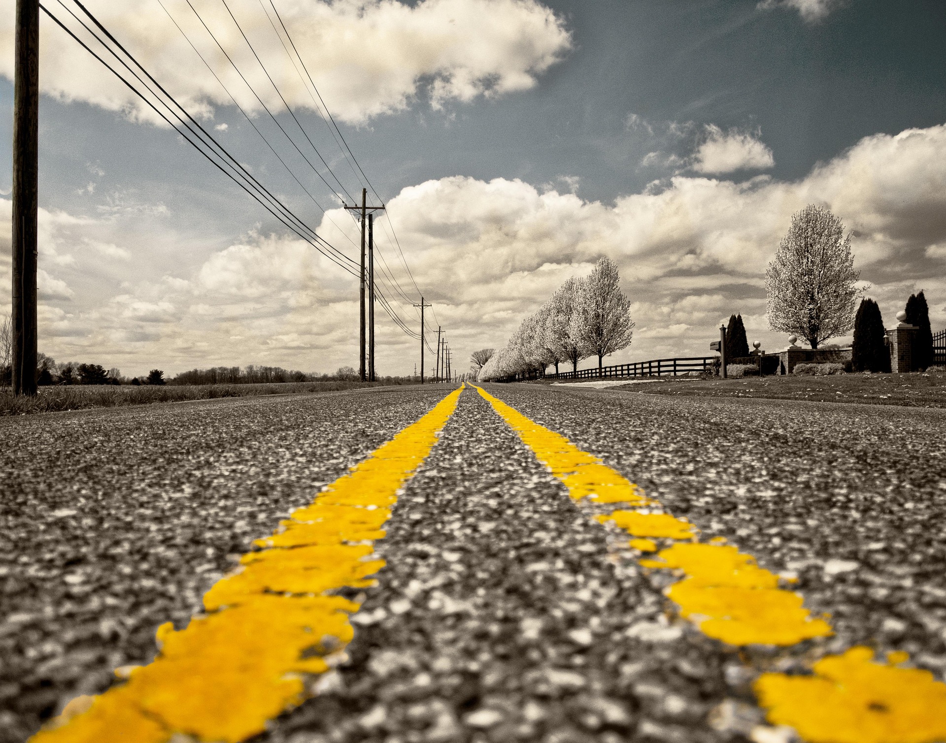 Seguridad vial